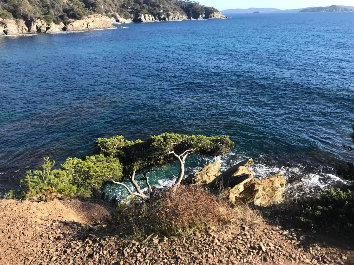 Vila La Pauseto La Seyne-sur-Mer Exteriér fotografie